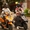 Honda dự kiến mang xe tay ga Honda NWX 125cc đến Việt Nam