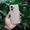 Dòng smartphone HONOR 400 series ra mắt tại thị trường Việt Nam