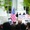 Donald Trump đấu các đại học Mỹ