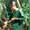 Mùa săn măng