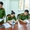 Phạt công ty xả thải trực tiếp ra môi trường ở Tây Ninh hơn 772 triệu đồng