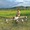 Báo Tuổi Trẻ tặng danh hiệu 'Bạn đồng hành quanh tôi' cho người lái drone cứu 2 trẻ kẹt lũ