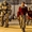 Fallout trở lại, đưa khán giả đến thẳng New Vegas huyền thoại