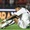 Fan xúc động bởi lời nhắn nhủ của con trai Neymar lúc cha khó khăn