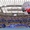 US Open có nguy cơ bị ‘quấy rối’ bởi ruồi đèn lồng