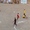 Tình huống fair play cần được nhân rộng trong bóng đá