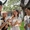 Chứng chỉ tiếng Anh Cambridge: Những điều bạn cần biết