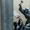 Tòa án Anh xóa bức tranh tường của Banksy, dư luận dậy sóng