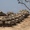 Cuộc tấn công trên bộ của Israel vào Gaza bị phản đối mạnh mẽ