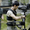 Steadicam là gì mà giúp khung hình Quốc khánh 2-9 ‘mượt như compa’