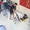 Mới tuyển được một em trai bưng bê, ngày đầu đi làm đã 'báo'