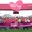 Giải chạy 'Run For The Heart' 2025 quyên góp 5 tỉ đồng cho trẻ em phẫu thuật tim