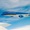 Lời hồi âm giữa trời xanh trên các chuyến bay của Vietnam Airlines