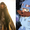 Anime khai sinh Studio Ghibli sẽ không tồn tại nếu không có tác phẩm kinh điển Dune