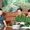 Kiểm tra nhà nghỉ, resort, homestay để kịp thời phát hiện tội phạm ở Phú Quốc