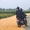Phơi lúa trên đường gây ra hàng loạt tai nạn: Nhiều người thiệt mạng, bị phạt vẫn tái diễn