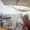 Đội thuyền Global Sumud Flotilla thông báo 39 thuyền bị Israel ngăn chặn