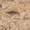 ‘Đôi môi khổng lồ’ giữa sa mạc Sudan gây sốt trên Google Earth