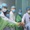 Đề cử: Trung tâm Truyền thông UMC - Kết nối tri thức - Lan tỏa niềm tin