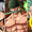7 thợ săn tiền thưởng mạnh nhất anime shonen