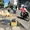 Nhiều người sụp 'ổ voi' trước chợ, dân dựng thùng xốp cảnh báo