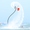 Xúc tiến mang Giải Flyboard thế giới về Việt Nam