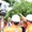 EVNHANOI thông báo hoãn cắt điện nhiều nơi ngày 27-5 để ứng phó nắng nóng cực đoan