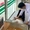 Giao hàng giữa trưa nắng, shipper trẻ gặp tai nạn vì say nắng