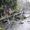 El Nino tác động đến mùa mưa bão năm nay thế nào?
