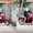 Chàng trai suýt bị rắn khủng cắn vì tưởng dễ ăn