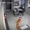 Hào hứng check camera mới, cô gái ngã ngửa với chất lượng 'vượt' mong đợi