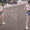 Cô nàng 'tay không bắt rắn' nhưng cuối video ai cũng... ngỡ ngàng