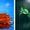 Quiz: Bạn cần buông bỏ gì để gặp được may mắn?