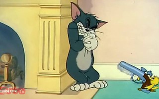 Tom and Jerry: Tom - Chú mèo diễn sâu nhất thế giới