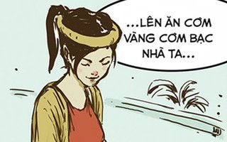 Tấm Cám dị bản
