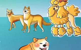 "Cậu Vàng đi rồi ông giáo ạ!"