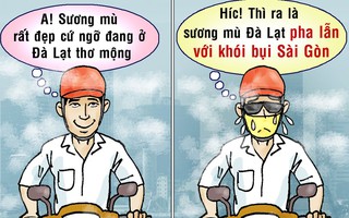 Sương mù Sài Gòn như Đà Lạt mộng mơ