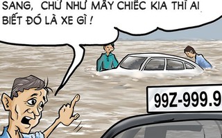 Biển số đẹp, trời mưa càng đẹp!