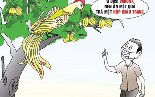 Ăn khế xin đừng trả vàng
