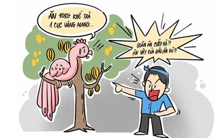 Cổ tích ăn khế... lỗ vốn