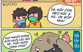 Hành động thiết thực của CĐM khi Thảo Cầm Viên cần giúp đỡ