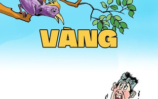 Giá vàng nhảy múa khiến chim thần cũng phải đau đầu