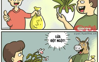 Sự thật về lan phi điệp đột biến tiền tỉ