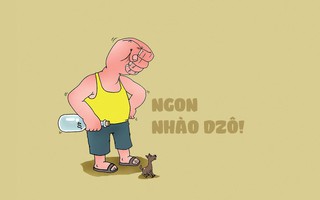Chó thả rông con nào cũng dữ