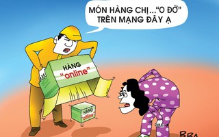 Săn sale ngày lễ độc thân: Không lời mà còn lỗ
