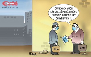 Bằng giả: Có cầu ắt có cung