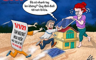 Điện mặt trời chạy đua với thời gian