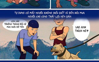 Mua pitbull trưởng thành không khác gì sở hữu 'bom nổ chậm'