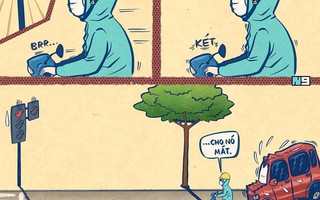 Dừng đèn đỏ trong bóng râm có thể bị phạt 300 ngàn đồng