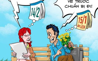 Valentine và hoa cúc